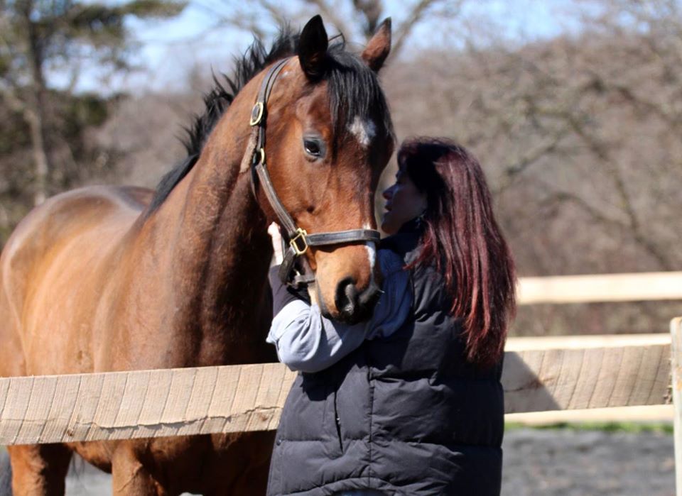 Kim's off track racehorse and Kim by a round pen.