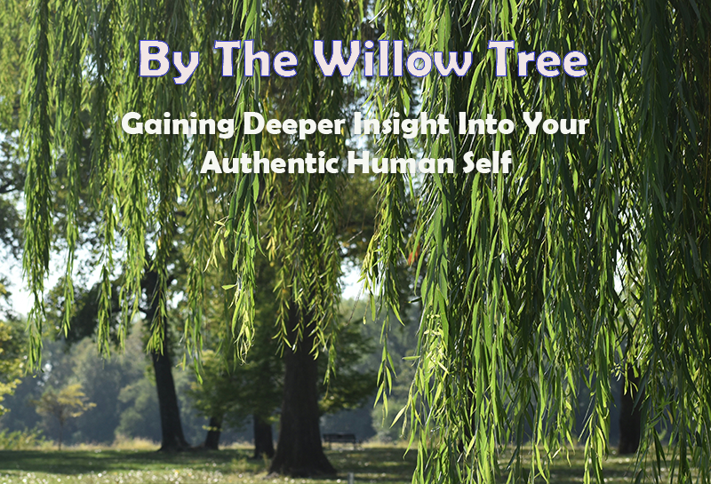 beneath a willow tree with long branches